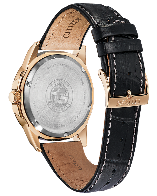 Citizen world time outlet